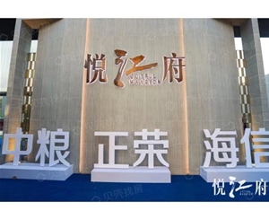 衢州衢州南京悦江府项目
